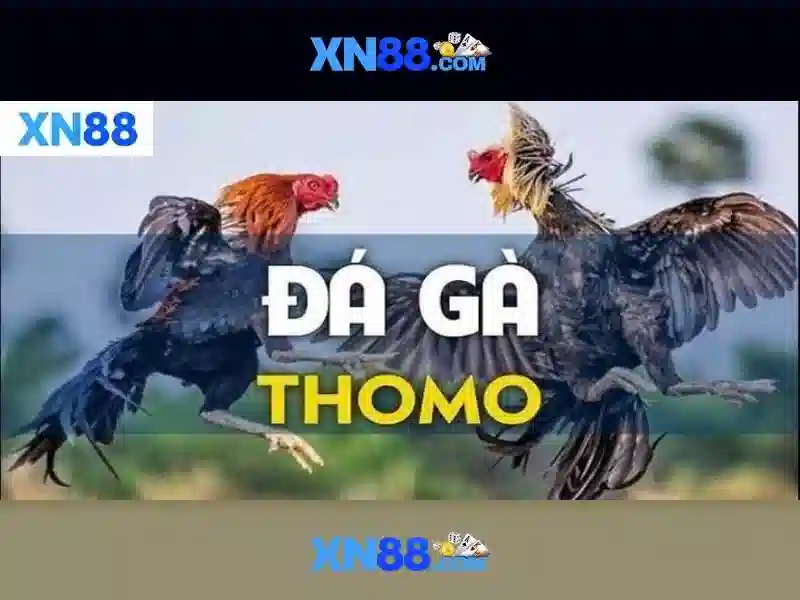 Đặc điểm nổi bật của Xn88\n