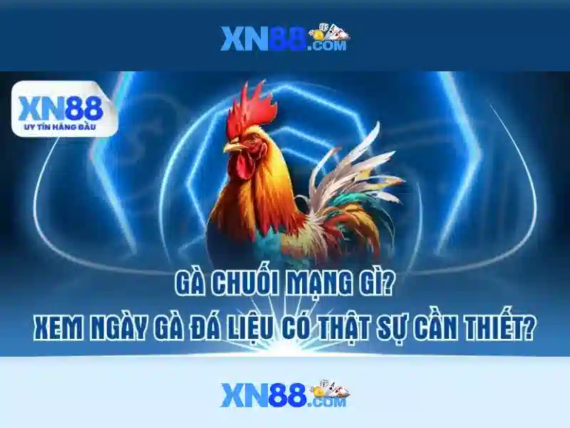 Cách tham gia và thanh toán