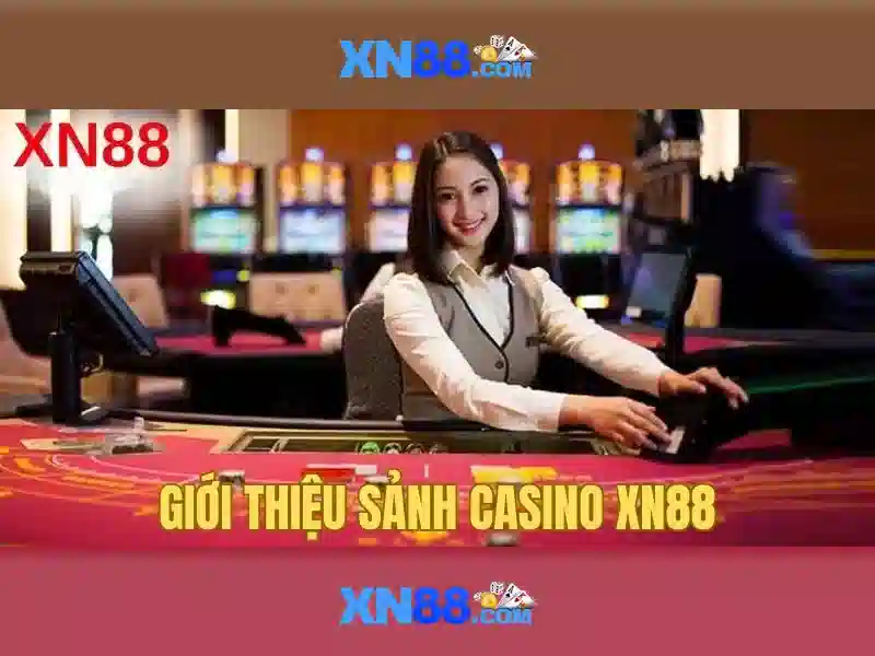 Dịch vụ và tính năng nổi bật