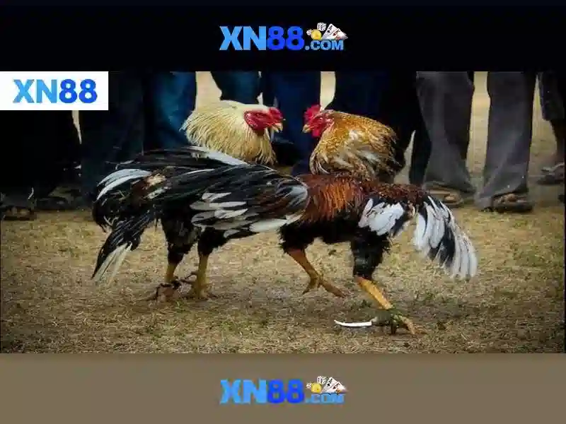 Mẹo chơi bắn cá 3 cây dễ ăn tiền nhà cái