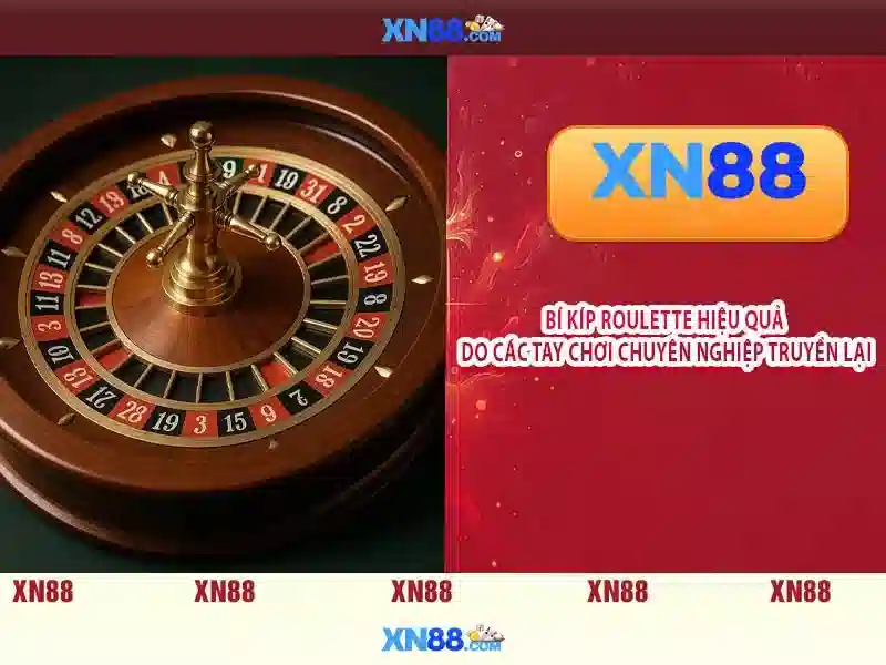Giới thiệu về xn88