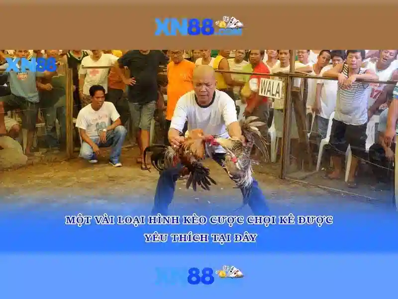 Mẹo chơi bắn cá 3 cây dễ ăn tiền nhà cái