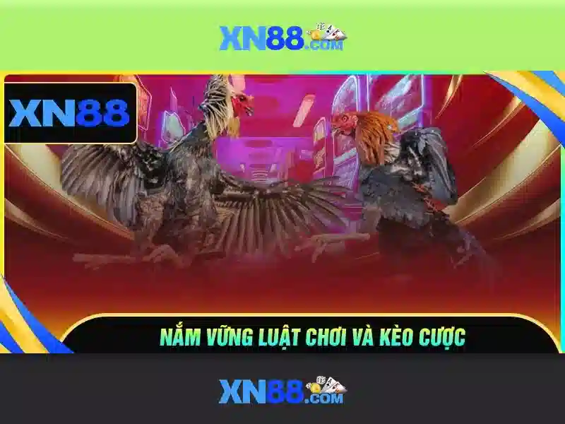 Lịch sử và nguồn gốc