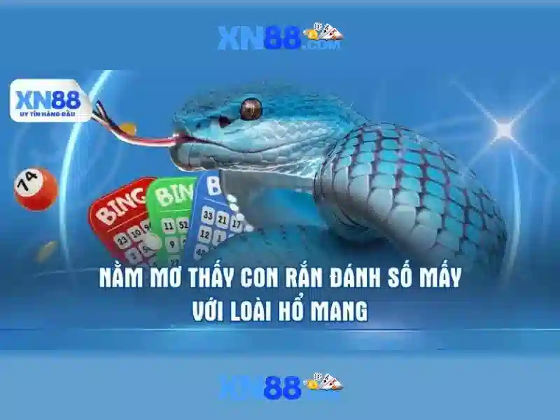 Giới thiệu về Xn88\n