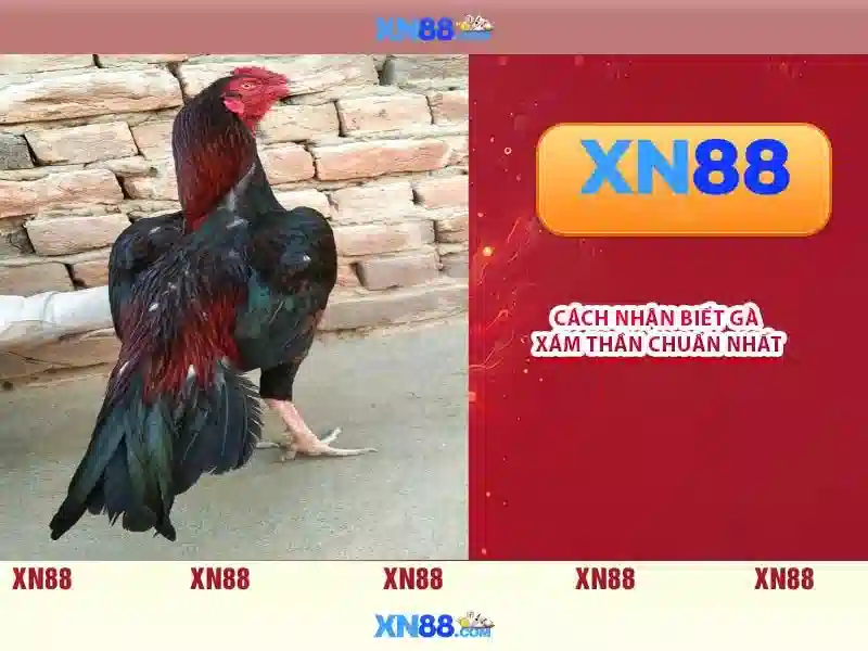 Độ tin cậy và an toàn\n