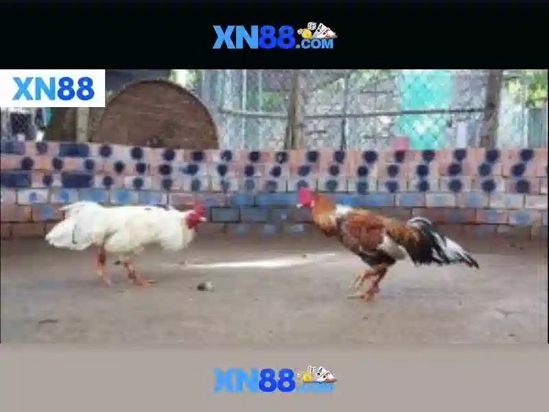 An toàn và bảo mật tại xn88