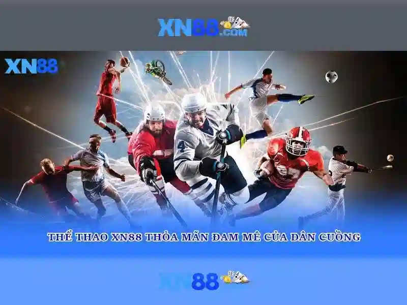 Các tính năng chính\n\n