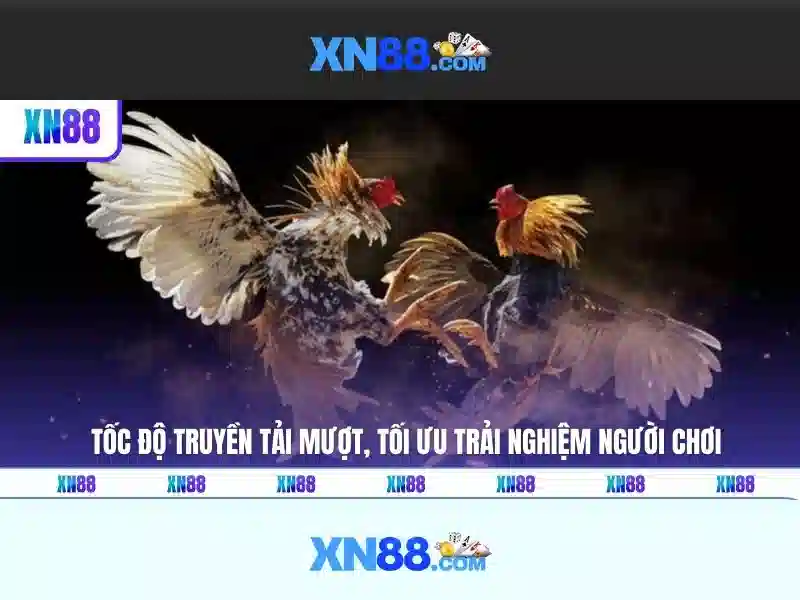 tai xn88: Khám phá thương hiệu và trải nghiệm uy tín