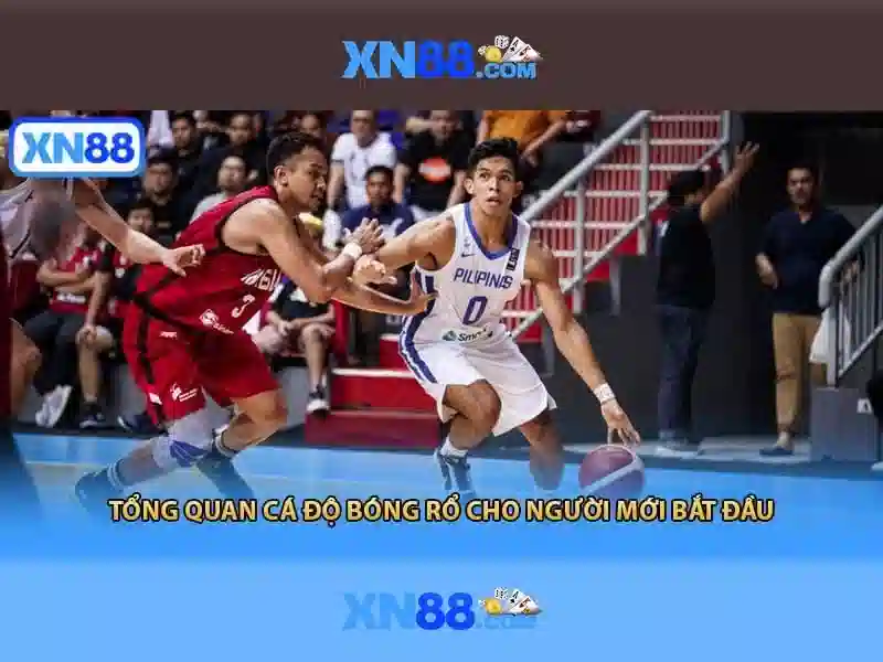 Các sản phẩm nổi bật