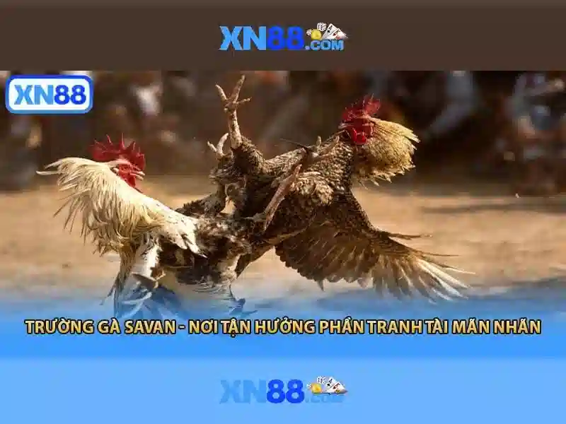 xn88: Tổng quan, tính năng và hướng dẫn an toàn