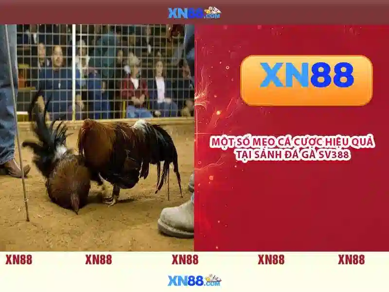Giới thiệu về xn88\n