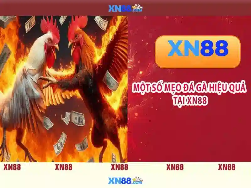 Mẹo chơi bắn cá 3 cây dễ ăn tiền nhà cái