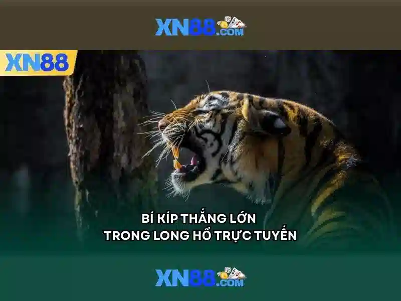 xn88..com – Trải nghiệm, đánh giá và khuyến mãi