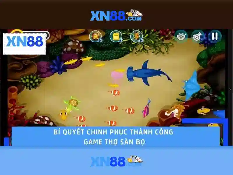 Tổng quan về xn88
