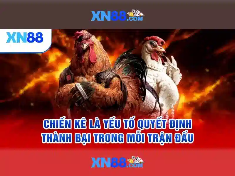 xn88 - Nền tảng chơi game và cược trực tuyến