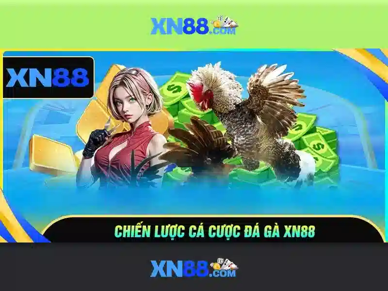 Tổng quan về xn88