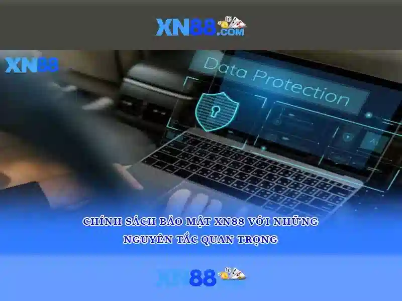 Kết luận
