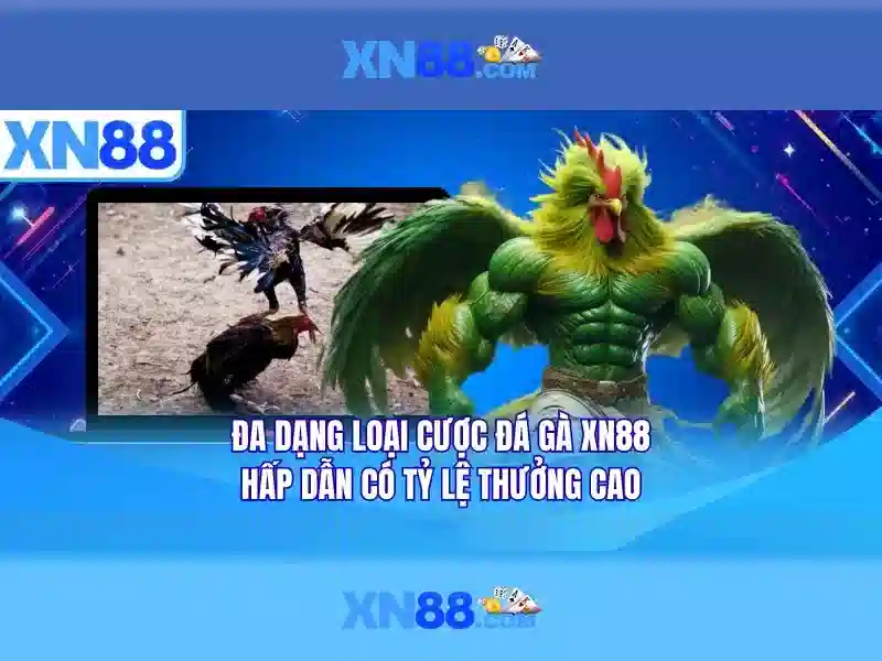 'Danh gia cua nguoi dung trang xn88'