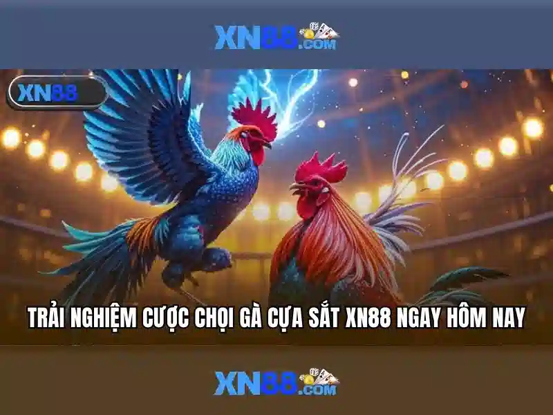 Trải nghiệm người dùng và phản hồi từ cộng đồng\n