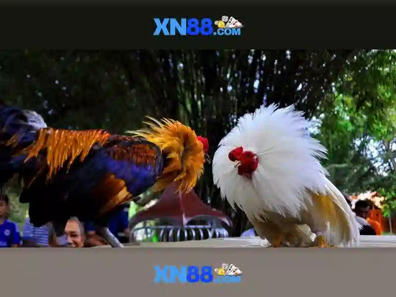 Nguồn gốc và sứ mệnh của xn88 001encipherment.sa.com\n