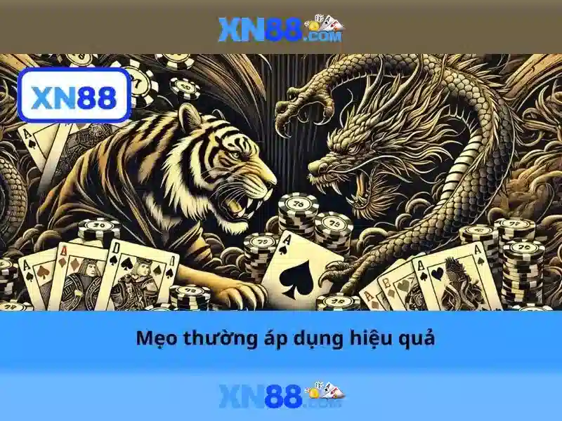 Cải tiến và nền tảng người dùng