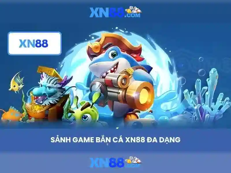 Trải nghiệm người dùng và đánh giá