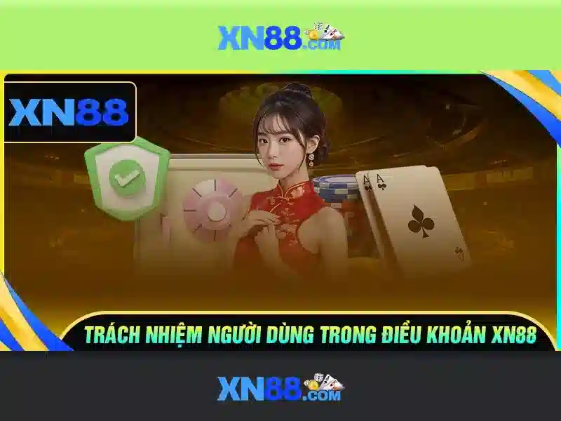 Lịch sử và tầm ảnh hưởng