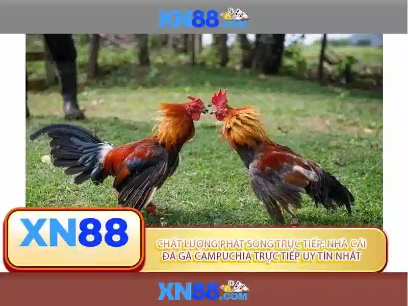 Mẹo chơi bắn cá 3 cây dễ ăn tiền nhà cái