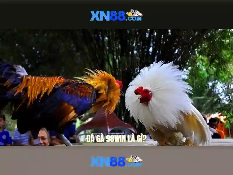 XN88: Nền tảng giải trí và cá cược trực tuyến