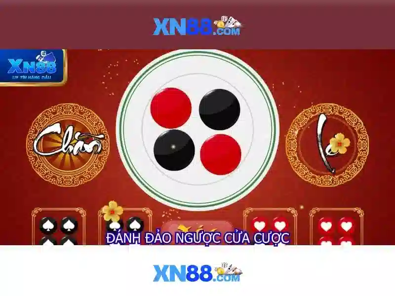 Nền tảng và hoạt động của xn88