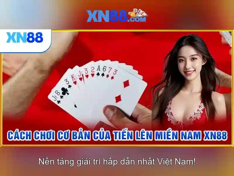 Nền tảng và dịch vụ