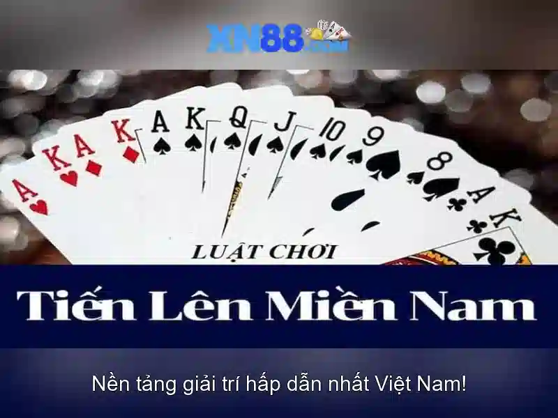 Cách tham gia an toàn và các lưu ý pháp lý\n