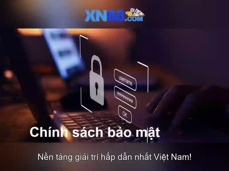 Các tính năng nổi bật