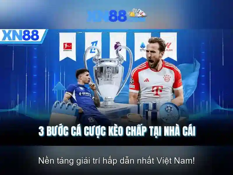 Ứng dụng di động và trải nghiệm người dùng