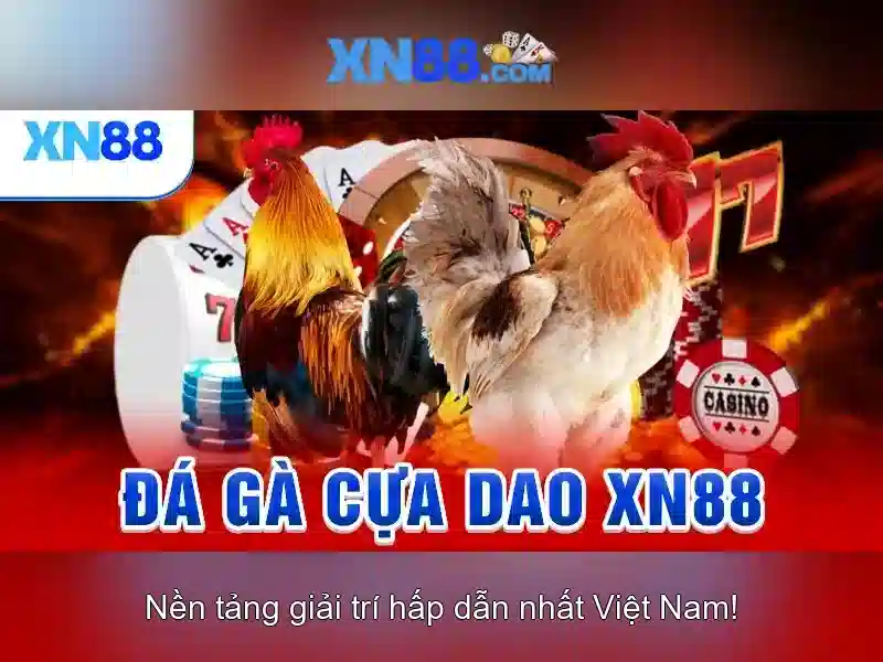 Các tính năng nổi bật\n