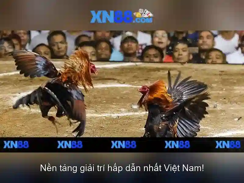 Đăng ký và nạp tiền an toàn