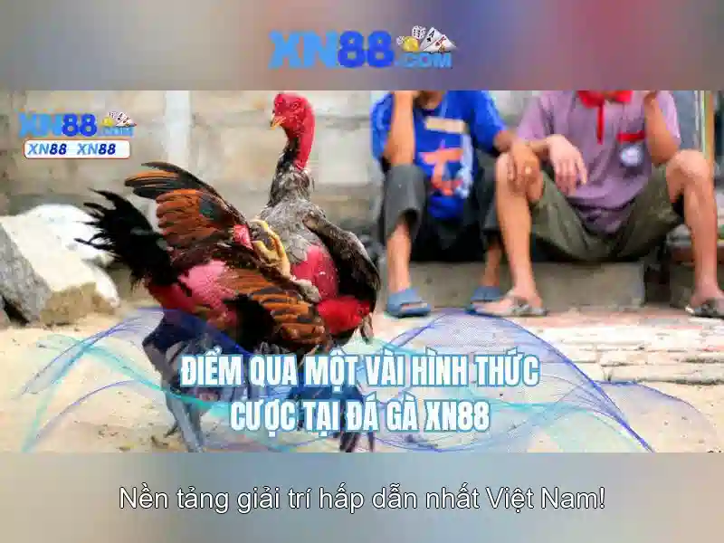xn88: Nền tảng cá cược trực tuyến và những điều cần biết