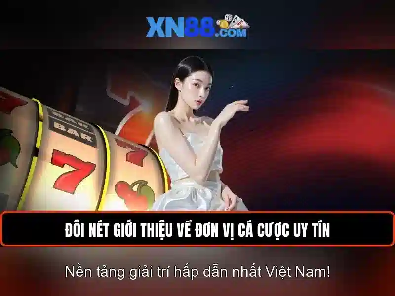 Giới thiệu về xn88