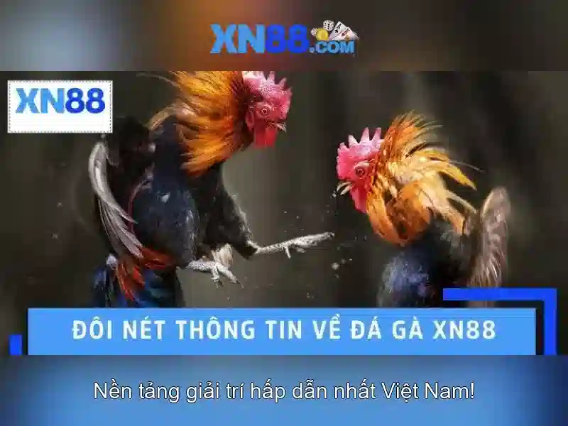 Sản phẩm và trò chơi