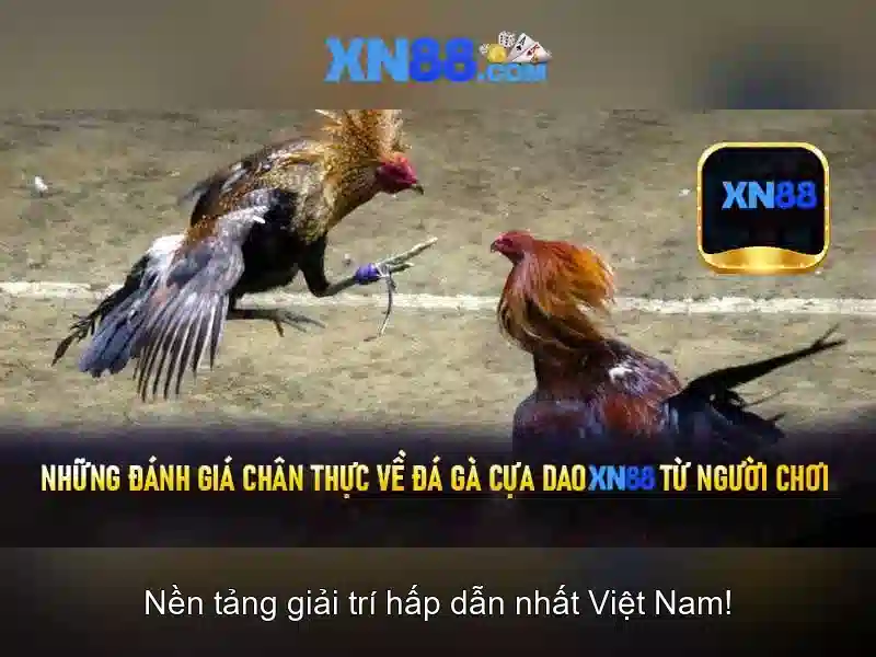 Công nghệ và bảo mật