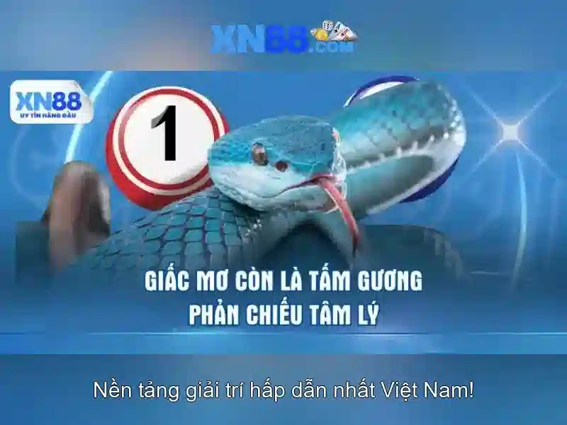 xn88: Nền tảng cược trực tuyến uy tín