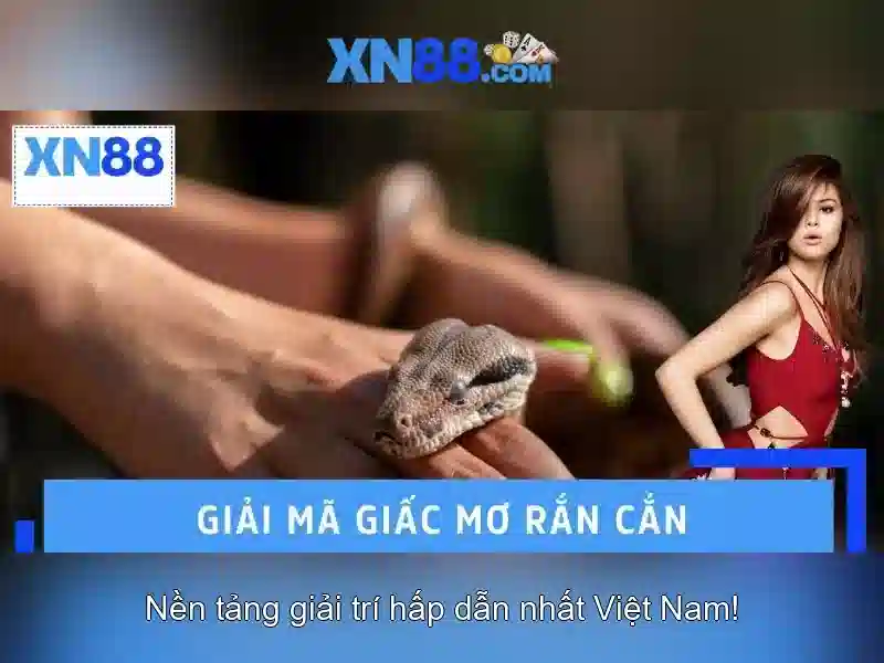 Nguồn gốc của xn88 còn và sứ mệnh