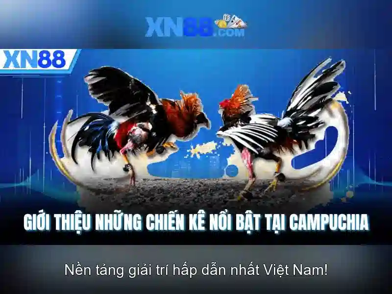 xn88 còn – Tổng quan chủ đề và giá trị cốt lõi