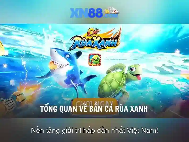 Lịch sử và tầm nhìn của XN88