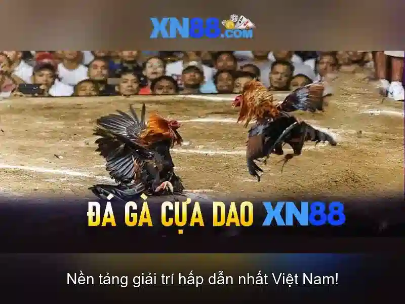 xn88: Nền tảng trò chơi trực tuyến và cộng đồng giải trí