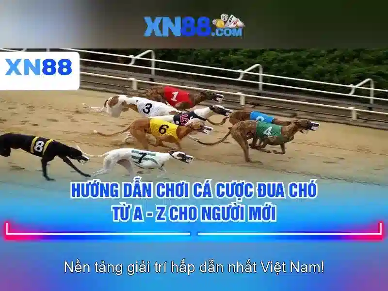 Đánh giá về an toàn và bảo mật