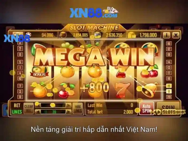 Biểu hiện và chức năng của xn88