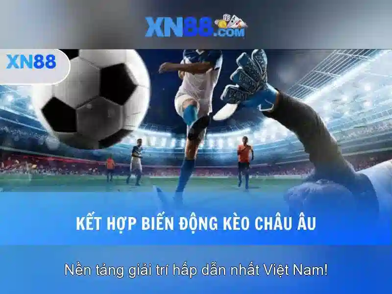 Giới thiệu về xn88