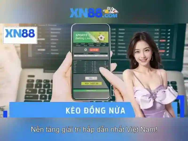 Đánh giá người dùng và kinh nghiệm