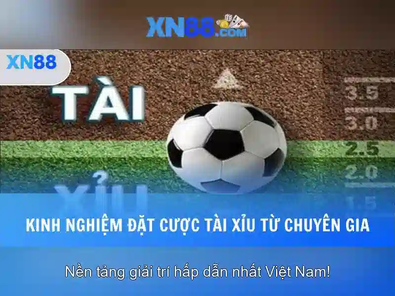 Hướng dẫn tham gia và hỗ trợ\n